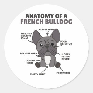 Anatomy Of A French Bulldog Dogs Funny Puppy Classic Round Sticker