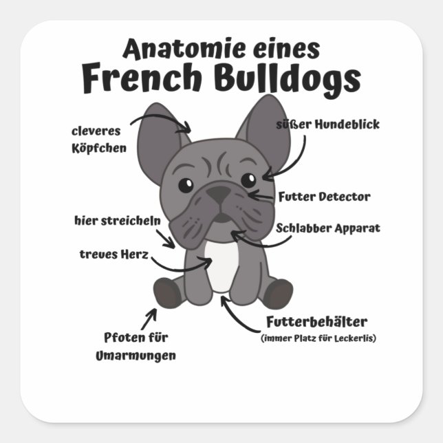 Anatomy Of A French Bulldog Dogs Funny Puppy Square Sticker (Front)