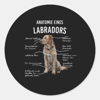 Anatomy Of A Funny Labrador Retriever Dog Classic Round Sticker