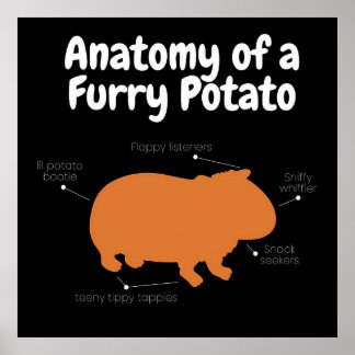 Anatomy Of A Furry Potato | Cute Guinea Pig Poster