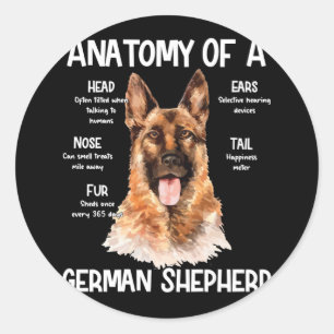 Anatomy Of A German Shepherd For Dog Lovers Classic Round Sticker