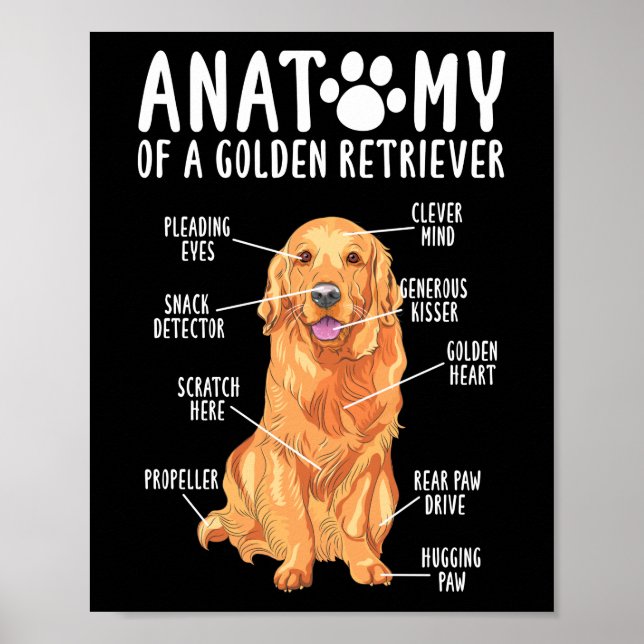 Anatomy of a Golden Retriever Mom Dad Poster (Front)