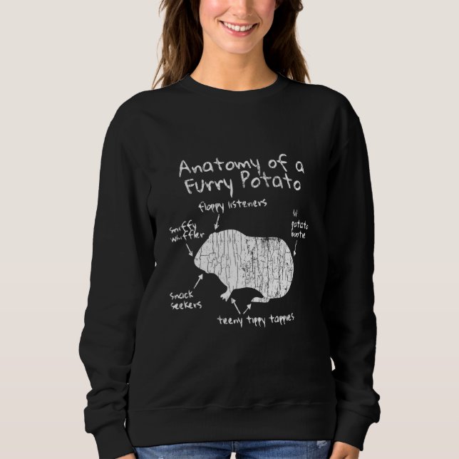Anatomy Of A Guinea Pig Owner Graphic Sweatshirt (Front)