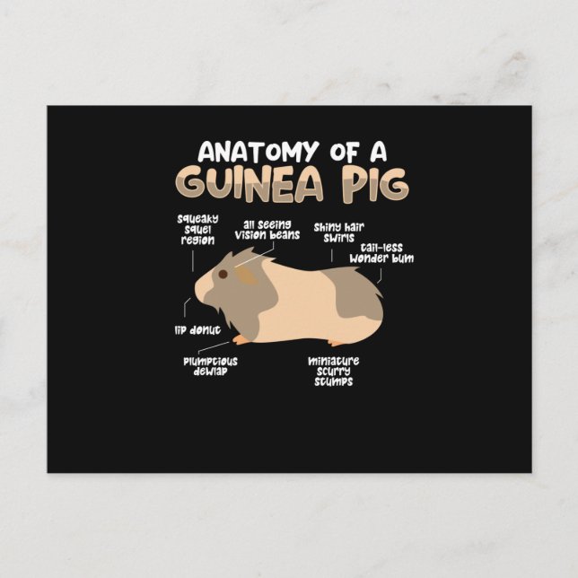 Anatomy of a Guinea Pig Postcard (Front)