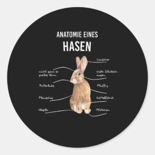 Anatomy Of A Hare Rabbit Bunny Rabbit Classic Round Sticker