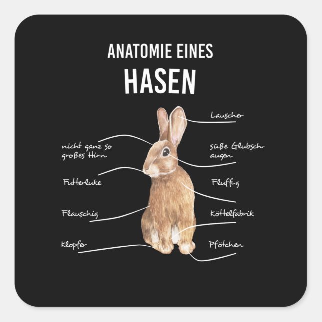 Anatomy Of A Hare Rabbit Bunny Rabbit Square Sticker (Front)