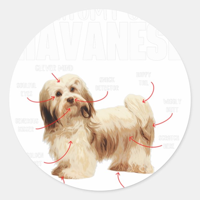 Anatomy Of A Havanese - Cuban Havaneser Havanezer  Classic Round Sticker (Front)