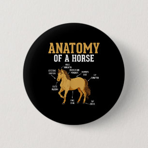 Anatomy Of A Horse Funny Equestrian Neigh Horse Lo 6 Cm Round Badge