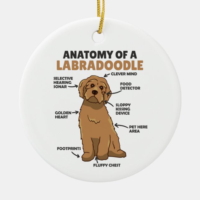 Anatomy Of A Labradoodle Cute Canine Puppy Ceramic Ornament (Front)