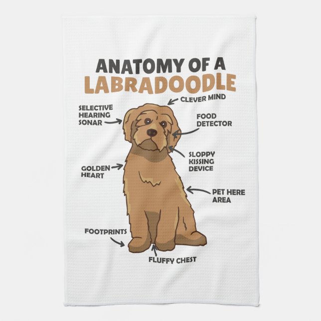 Anatomy Of A Labradoodle Cute Canine Puppy Tea Towel (Vertical)