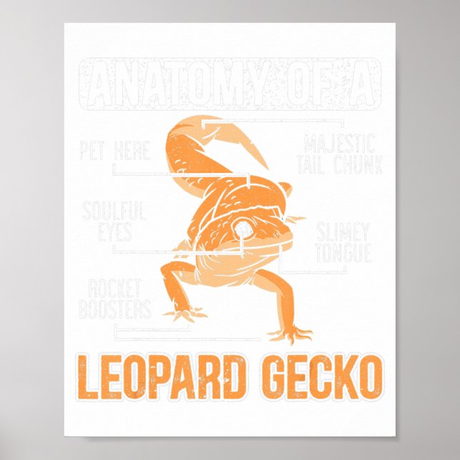 Anatomy Of A Leopard Gecko Lover Lizard Animal Rep Poster (Front)