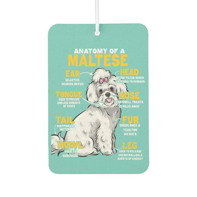 anatomy of a maltese  dog lover  car air freshener (Front)