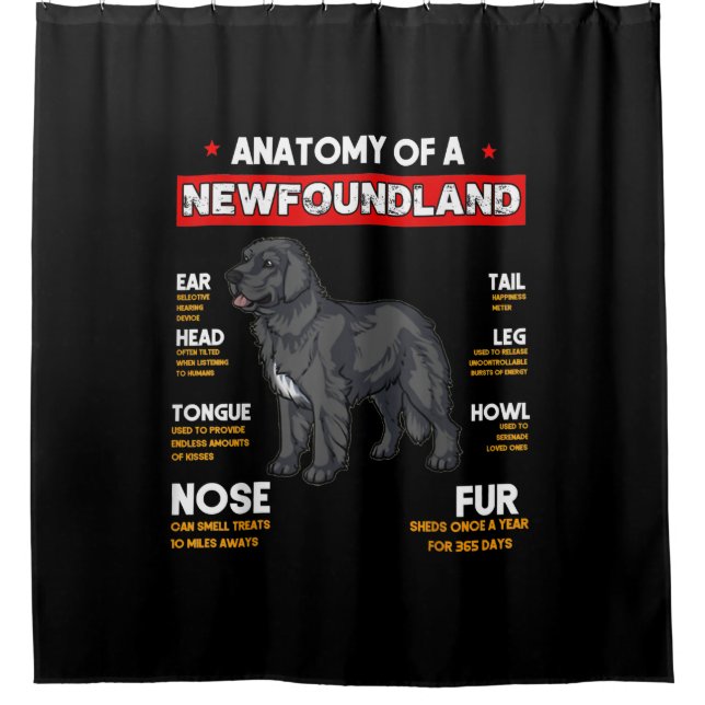 Anatomy Of A Newfoundland Dogs Lovers Shower Curtain (Front)