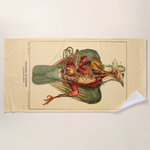 Anatomy of a Pigeon Beach Towel