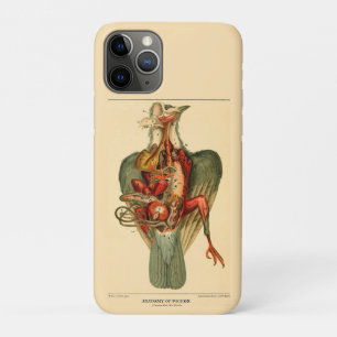 Anatomy of a Pigeon iPhone 11 Pro Case