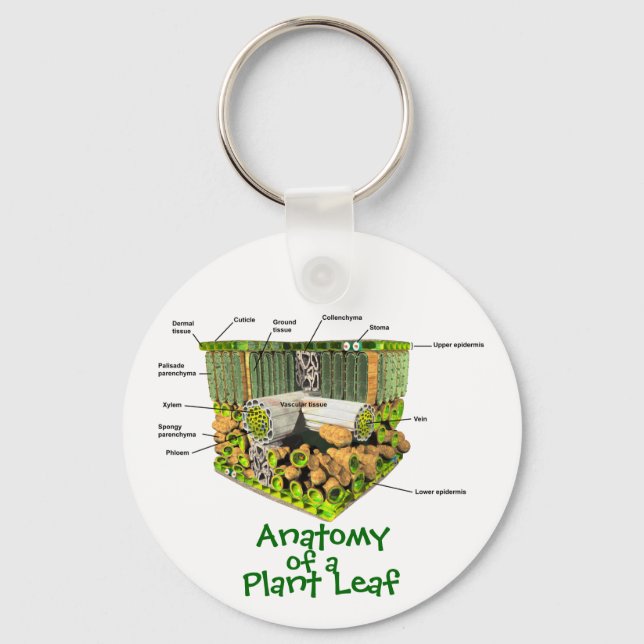 Anatomy of a Plant Leaf key chain (Front)
