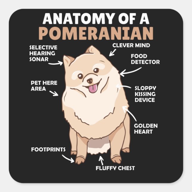 Anatomy Of A Pomeranian Cute Dog Puppy Square Sticker (Front)