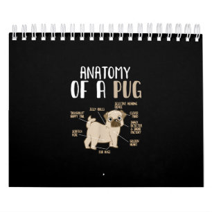 Anatomy Of A Pug Breed Dog Pet Hound Lover Calendar