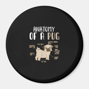 Anatomy Of A Pug Breed Dog Pet Hound Lover Magnet