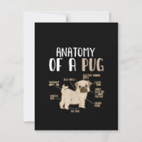 Anatomy Of A Pug Breed Dog Pet Hound Lover