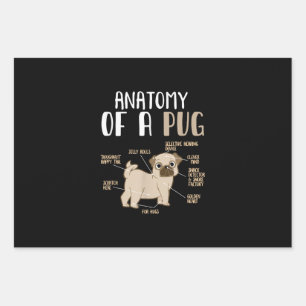 Anatomy Of A Pug Breed Dog Pet Hound Lover Wrapping Paper Sheet