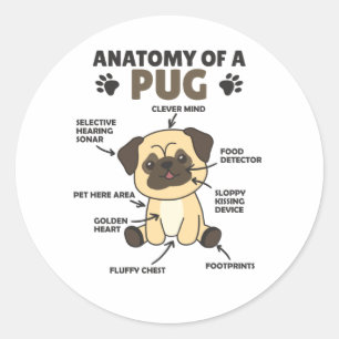 Anatomy Of A Pug Sweet Dogs Funny Puppy Classic Round Sticker