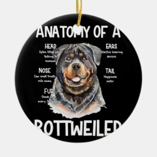 Anatomy Of A Rottweiler For Dog Lovers Ceramic Ornament