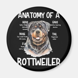 Anatomy Of A Rottweiler For Dog Lovers Magnet