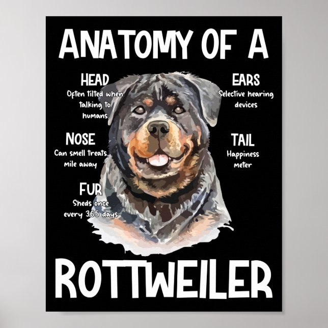 Anatomy Of A Rottweiler For Dog Lovers Poster (Front)