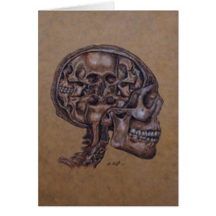 Anatomy of a Schizophrenic