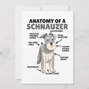 Anatomy Of A Schnauzer Cute Dog Puppy Invitation