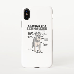Anatomy Of A Schnauzer Cute Dog Puppy iPhone Case