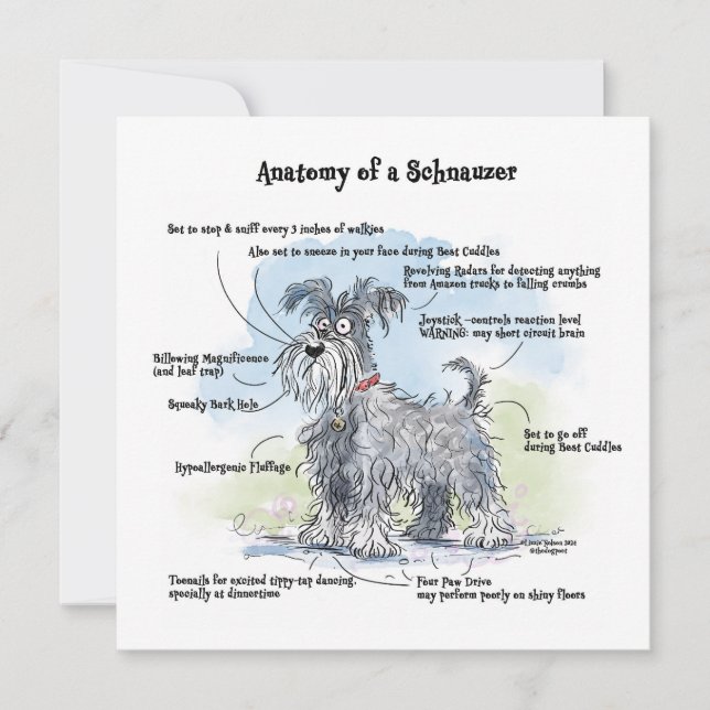 Anatomy of a Schnauzer Funny Notecard (Front)