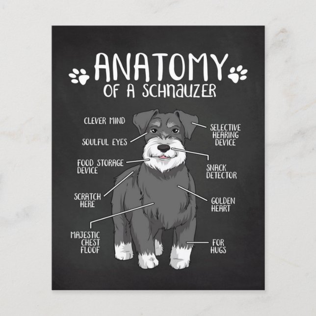 Anatomy Of A Schnauzer Lover Gift Flyer (Front)
