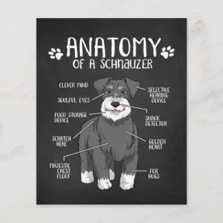 Anatomy Of A Schnauzer Lover Gift Flyer