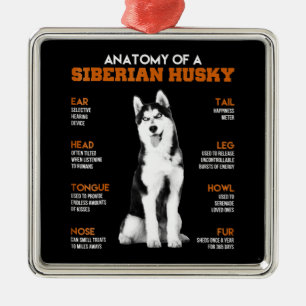 Anatomy of a Siberian Husky dogs funny Art Metal Ornament