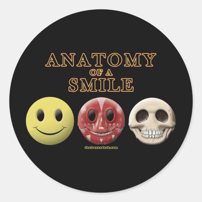Anatomy of a Smile Classic Round Sticker (Front)