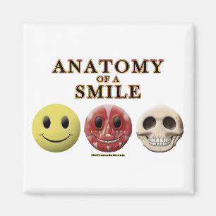 Anatomy of a Smile Magnet