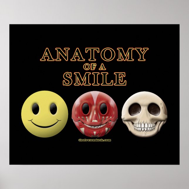 Anatomy of a Smile Poster (Front)