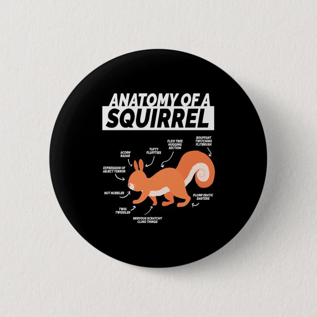 Anatomy Of A Squirrel 6 Cm Round Badge (Front)