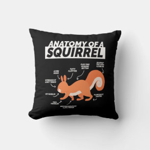 Anatomy Of A Squirrel Cushion