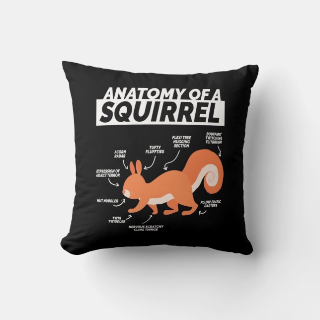 Anatomy Of A Squirrel Cushion (Front)