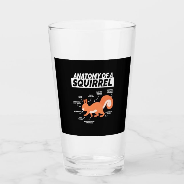 Anatomy Of A Squirrel Glass (Front)