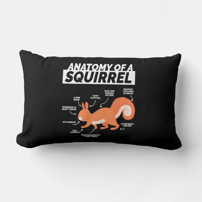 Anatomy Of A Squirrel Lumbar Cushion (Front)