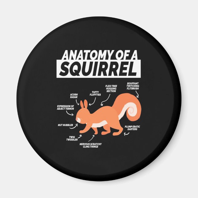 Anatomy Of A Squirrel Magnet (Front)