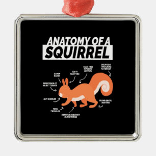 Anatomy Of A Squirrel Metal Ornament