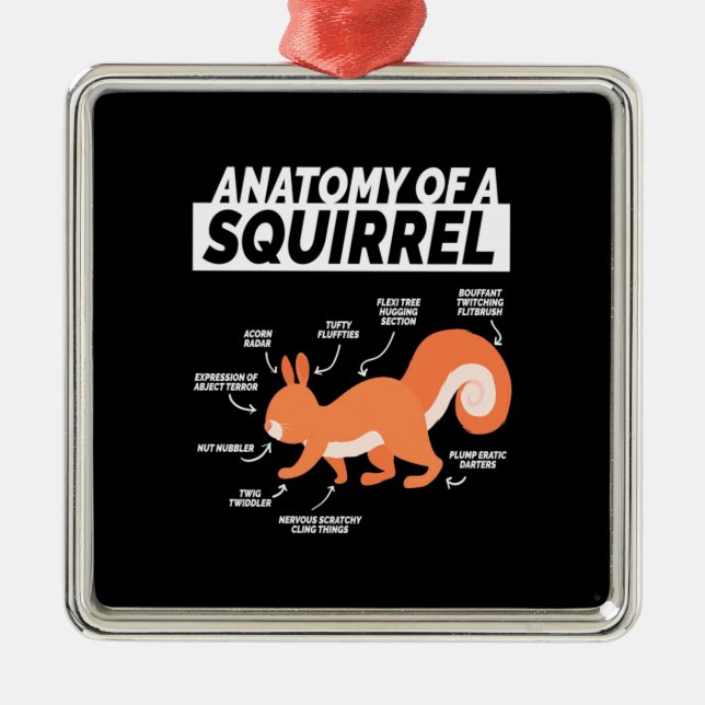 Anatomy Of A Squirrel Metal Ornament (Front)