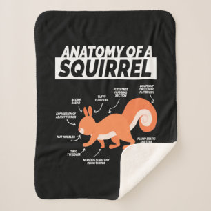 Anatomy Of A Squirrel Sherpa Blanket