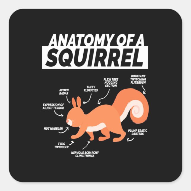 Anatomy Of A Squirrel Square Sticker (Front)