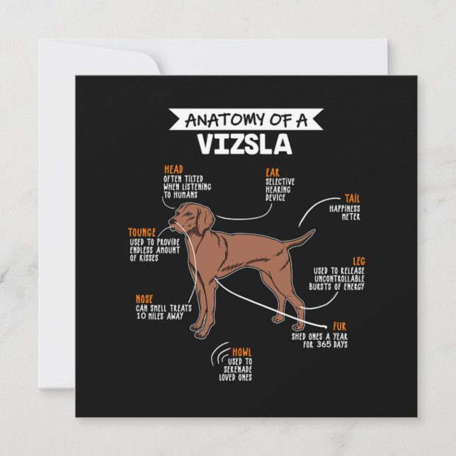 Anatomy Of A Vizsla Dog Invitation (Front)